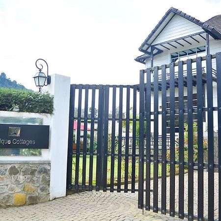 Unique Cottages Nuwara Eliya Exteriör bild